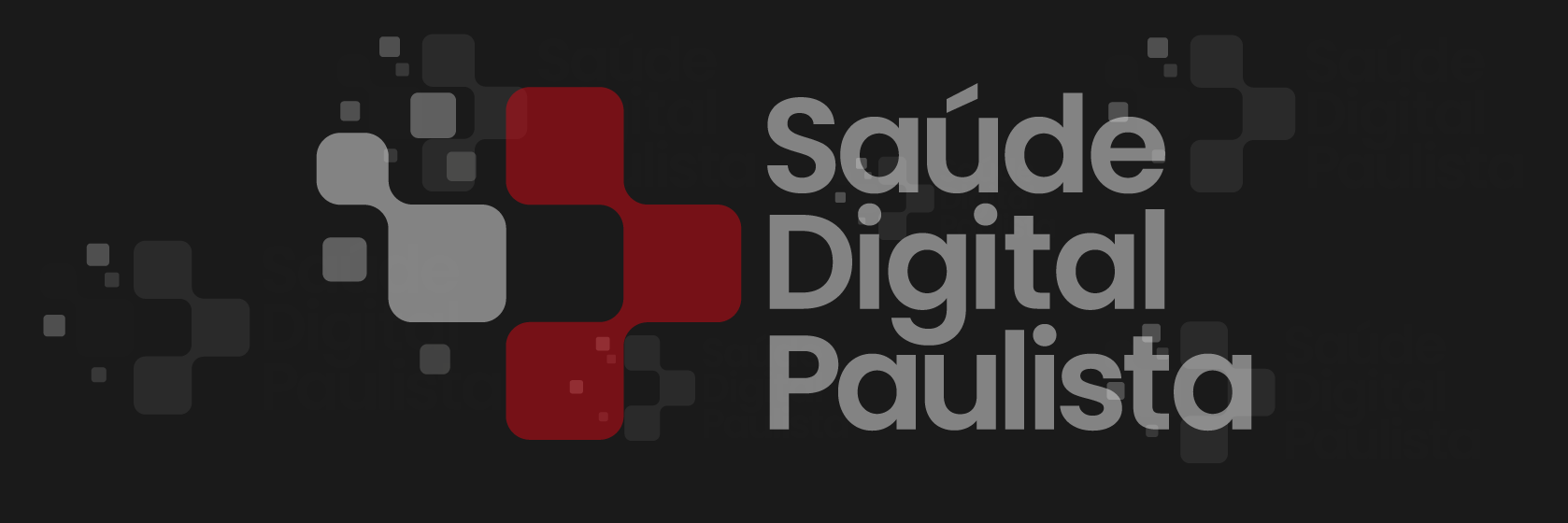 Mapeamento de Iniciativas de Saúde Digital e de Requisitos Tecnológicos no Estado de São Paulo